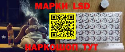 индика Сланцы