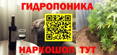 индика Сланцы