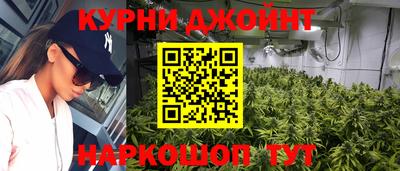 индика Сланцы