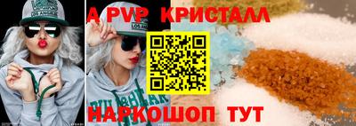 индика Сланцы