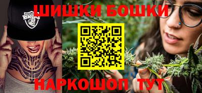 индика Сланцы
