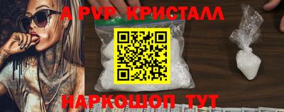 индика Сланцы