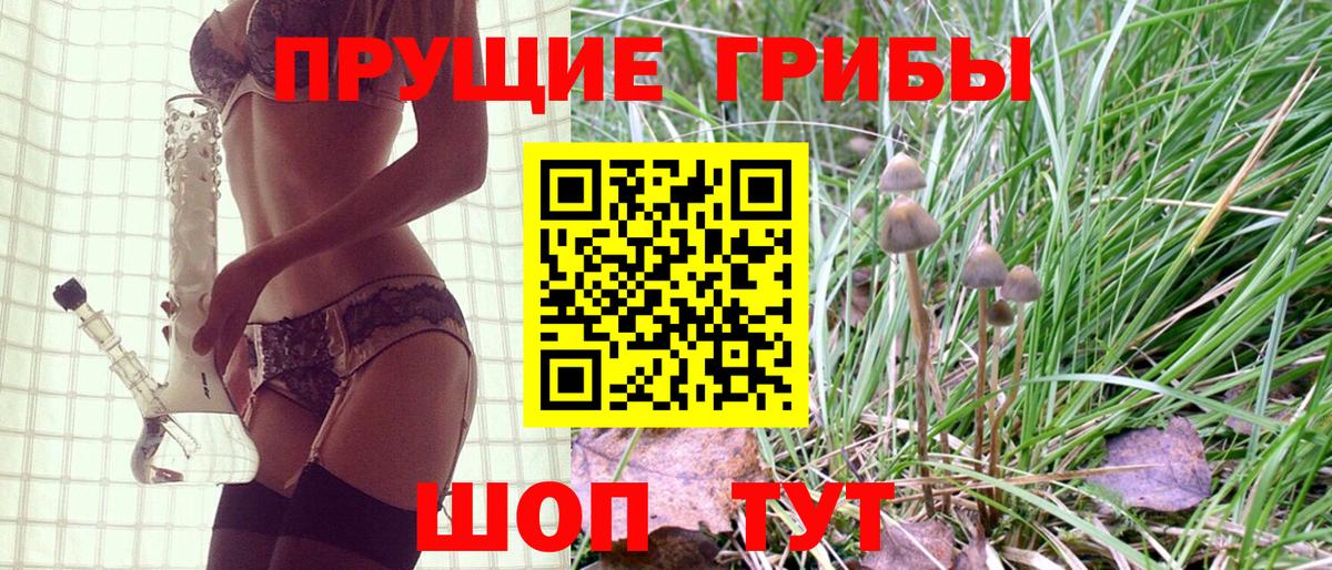 Сокол  Галлюциногенные грибы ЛСД  Вход с VPN 